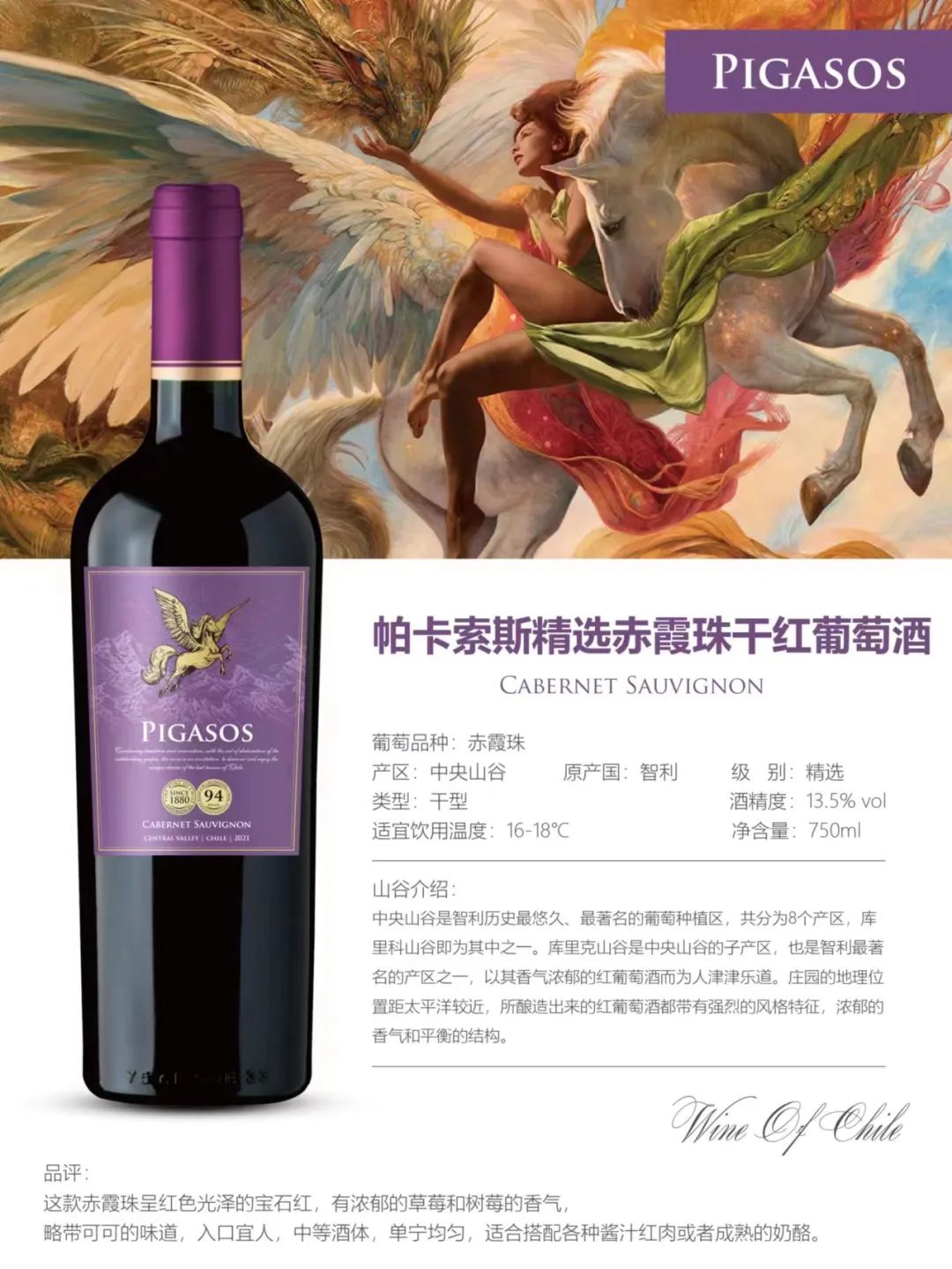 智利中央山谷PIGASOS飞马酒庄-精选赤霞珠干红葡萄酒，现货进口库存在厦门海沧·屿保税区，等你来搬！